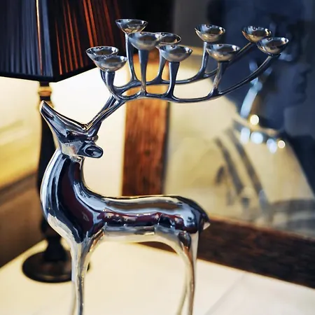 酒店 Lesar Angel - Member Of Hip