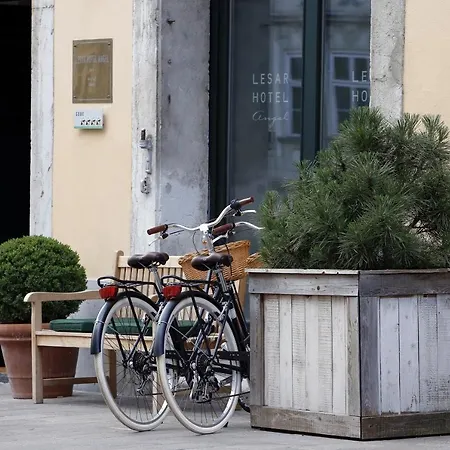 Lesar Angel - Member Of Hip Szálloda