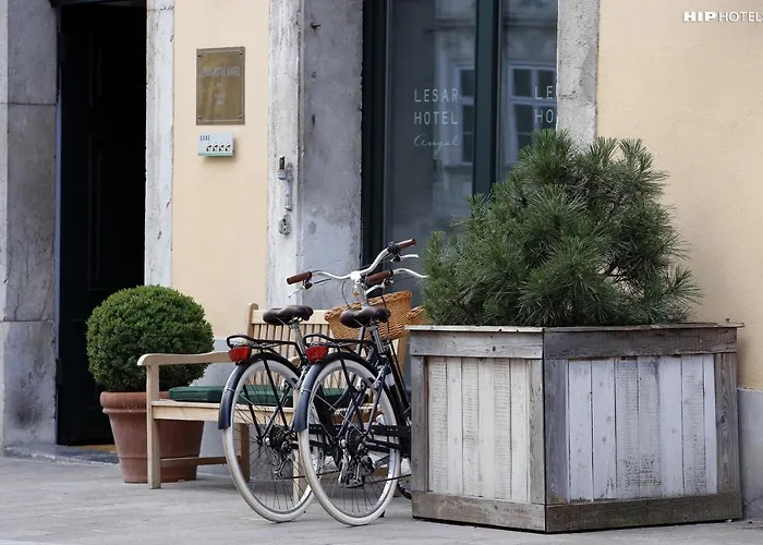 Lesar Angel - Member Of Hip Hotel